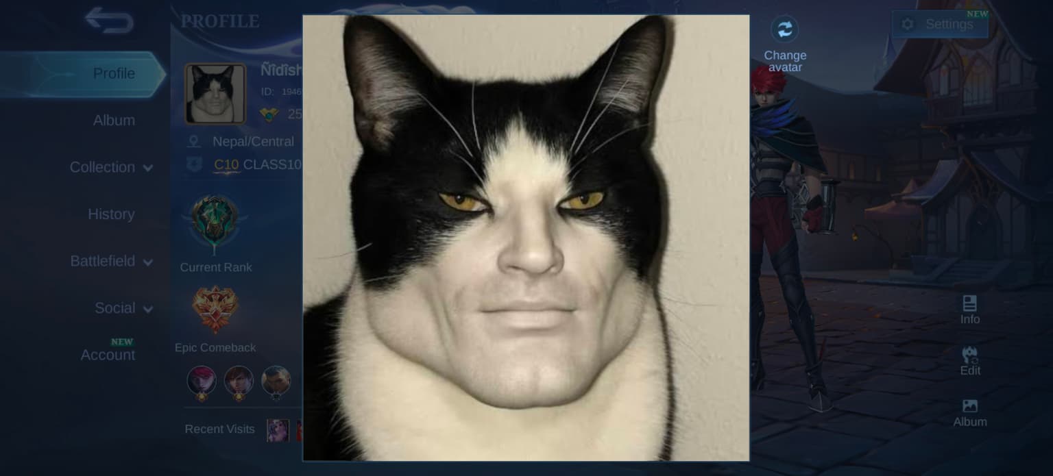 Profile Image
