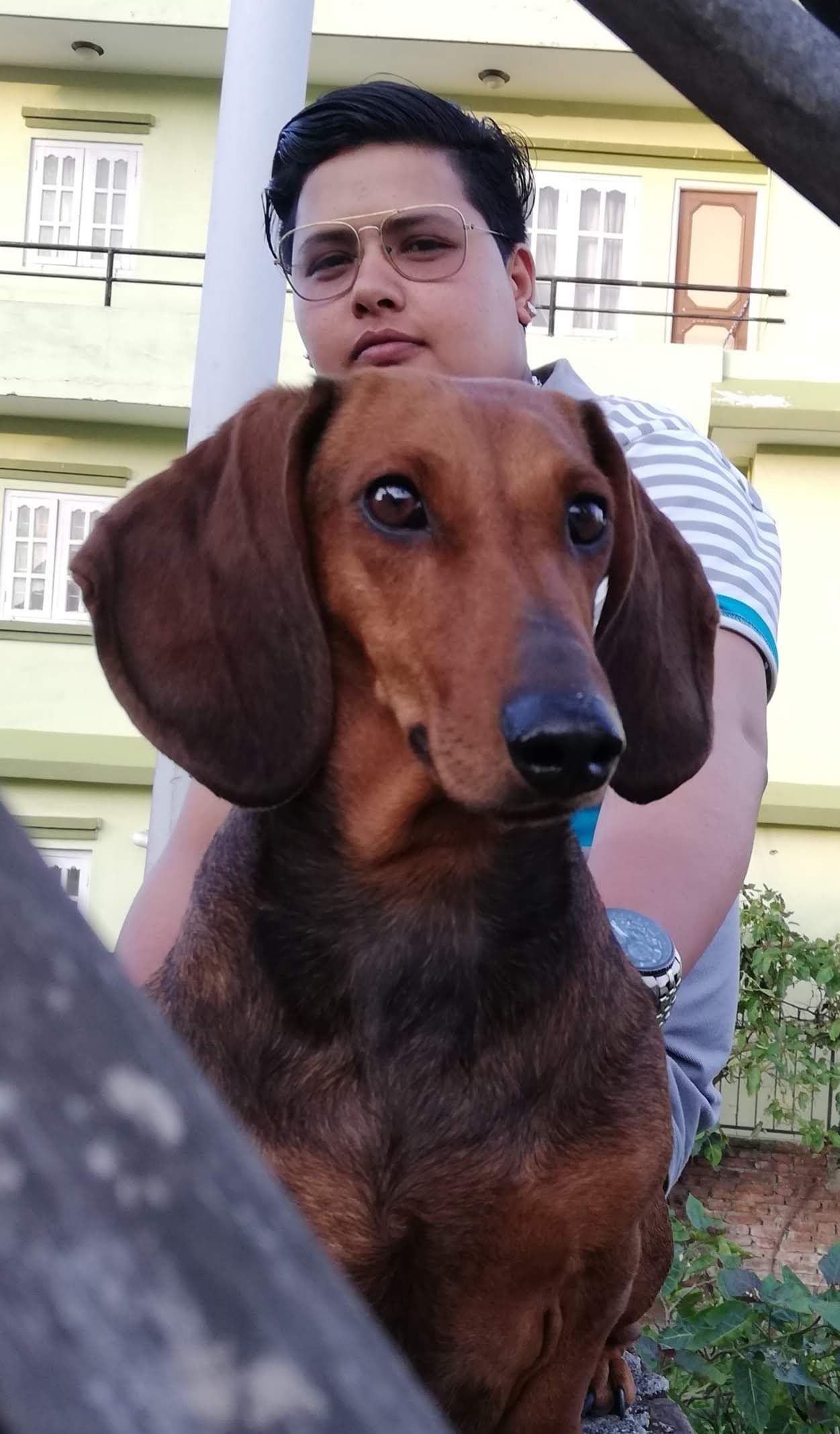 Profile Image